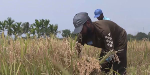 বাজেটের ১০ শতাংশ অর্থ কৃষিতে বরাদ্দের তাগিদ